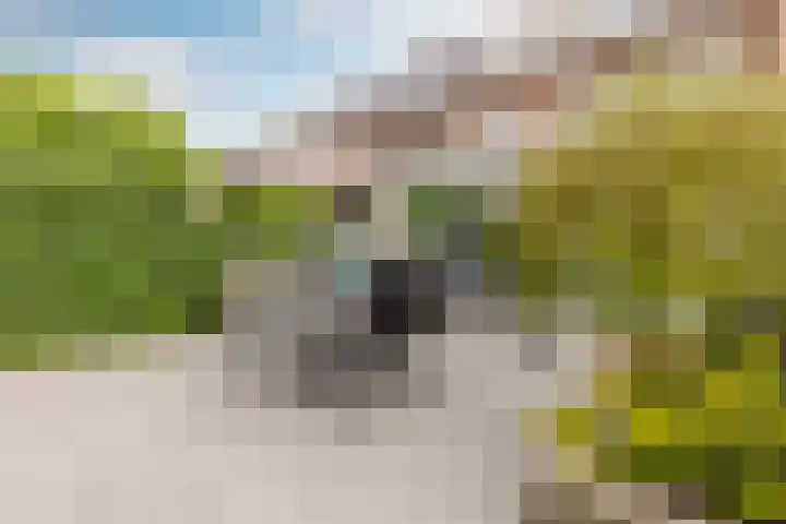 Ir Lelystraat 9 Nieuwerkerk aan den IJssel thumbnail 31