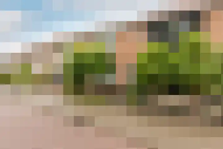 Ir Lelystraat 9 Nieuwerkerk aan den IJssel thumbnail 34