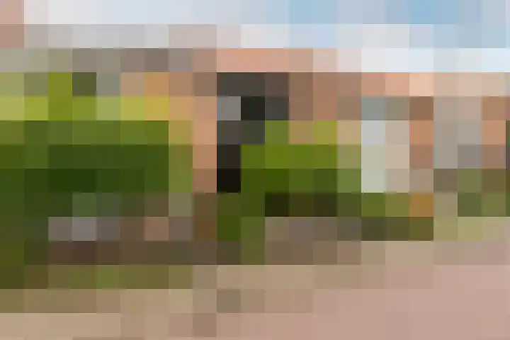 Ir Lelystraat 9 Nieuwerkerk aan den IJssel thumbnail 38