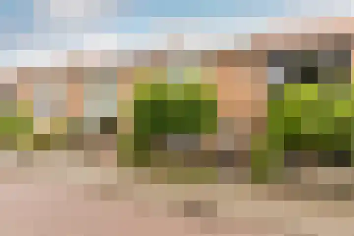 Ir Lelystraat 9 Nieuwerkerk aan den IJssel thumbnail 43