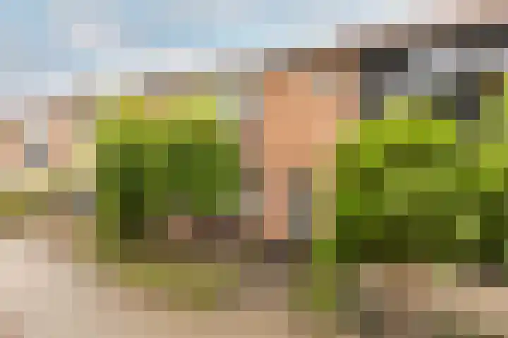 Ir Lelystraat 9 Nieuwerkerk aan den IJssel thumbnail 5