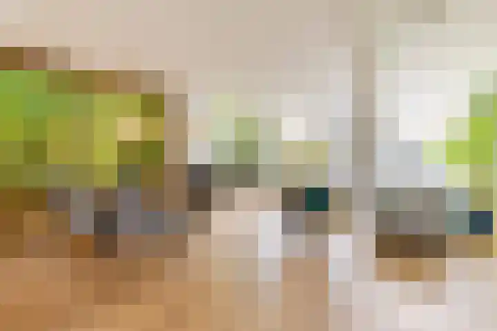 Ir Lelystraat 9 Nieuwerkerk aan den IJssel thumbnail 7