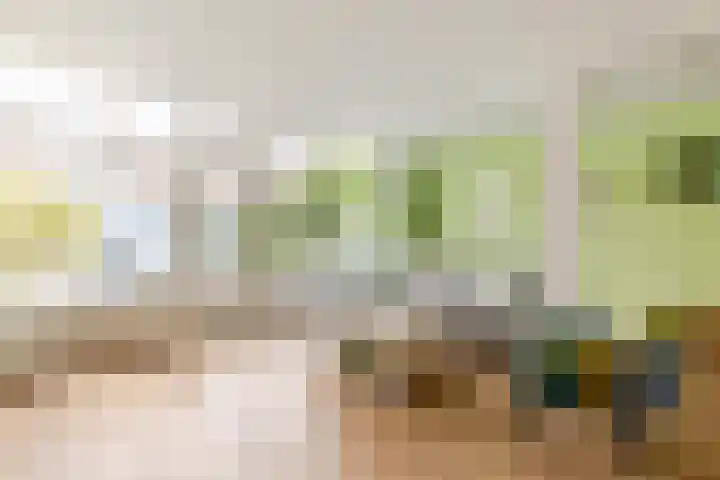 Ir Lelystraat 9 Nieuwerkerk aan den IJssel thumbnail 8
