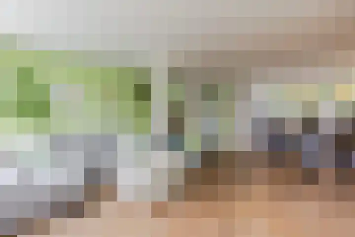 Ir Lelystraat 9 Nieuwerkerk aan den IJssel thumbnail 9