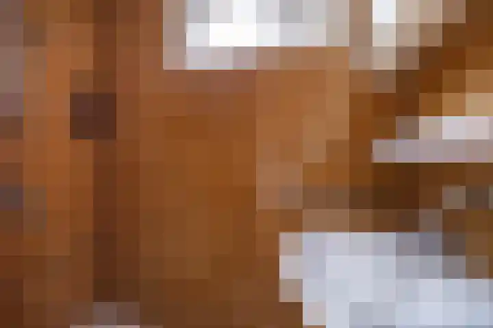 ir. M. Schefferlaan 53 Hengelo thumbnail 13