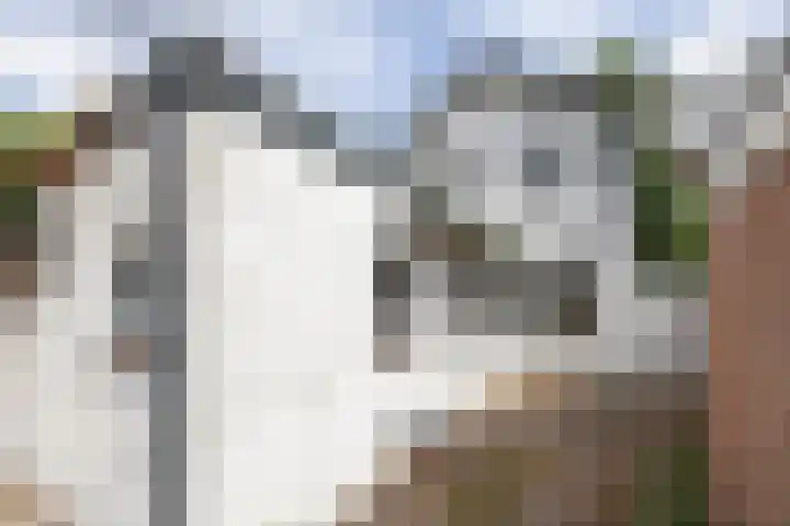 ir. M. Schefferlaan 53 Hengelo thumbnail 20