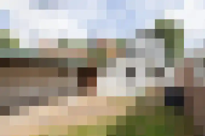 ir. M. Schefferlaan 53 Hengelo thumbnail 21