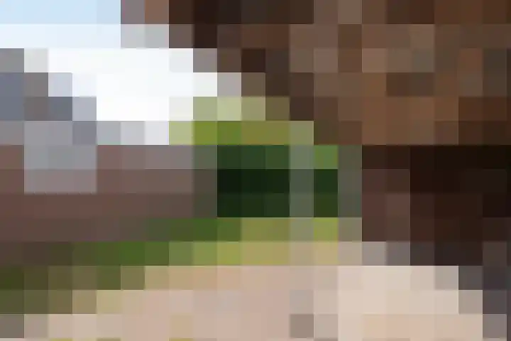 ir. M. Schefferlaan 53 Hengelo thumbnail 22