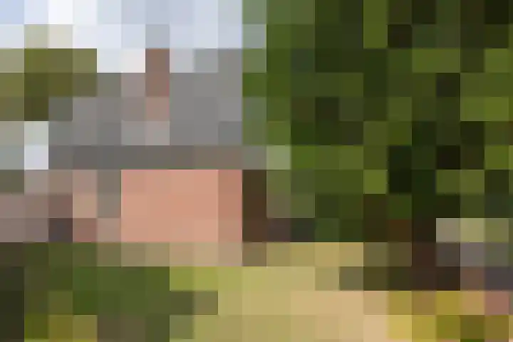 ir. M. Schefferlaan 53 Hengelo thumbnail 23