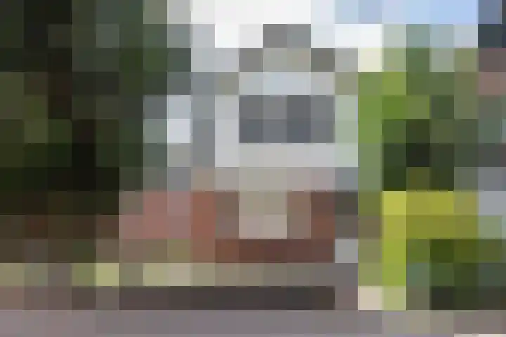 ir. M. Schefferlaan 53 Hengelo thumbnail 33
