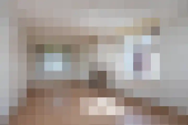 ir. M. Schefferlaan 53 Hengelo thumbnail 4