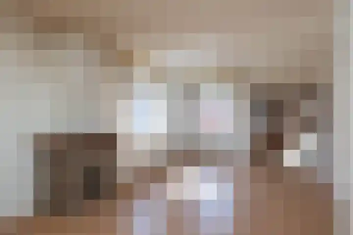 ir. M. Schefferlaan 53 Hengelo thumbnail 6
