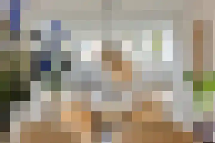 Ir. Mentropweg 27 Veenhuizen thumbnail 10