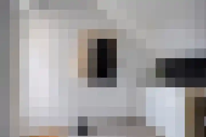 Ir. Mentropweg 27 Veenhuizen thumbnail 23