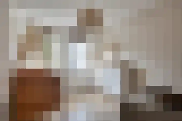 Ir. Mentropweg 27 Veenhuizen thumbnail 28