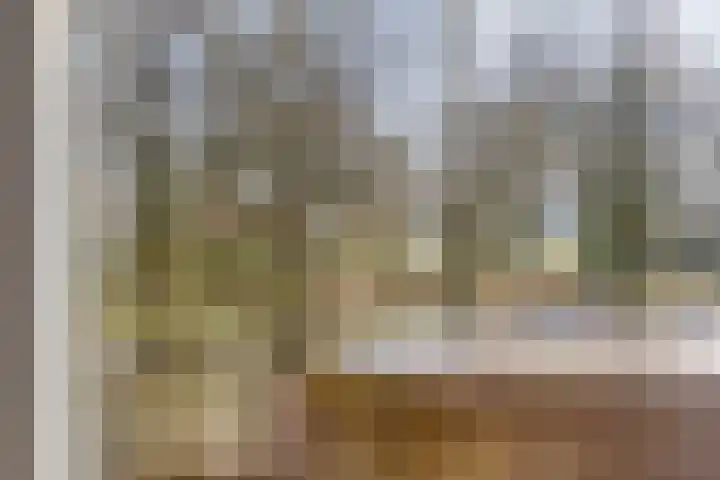 Ir. Mentropweg 27 Veenhuizen thumbnail 31