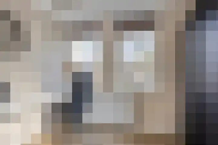 Ir. Mentropweg 27 Veenhuizen thumbnail 32