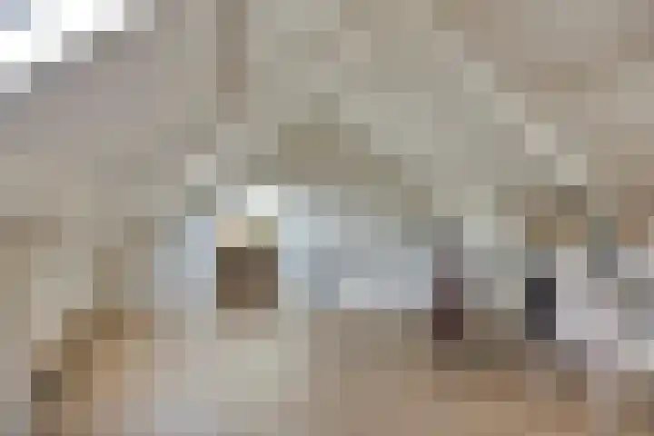 Ir. Mentropweg 27 Veenhuizen thumbnail 38