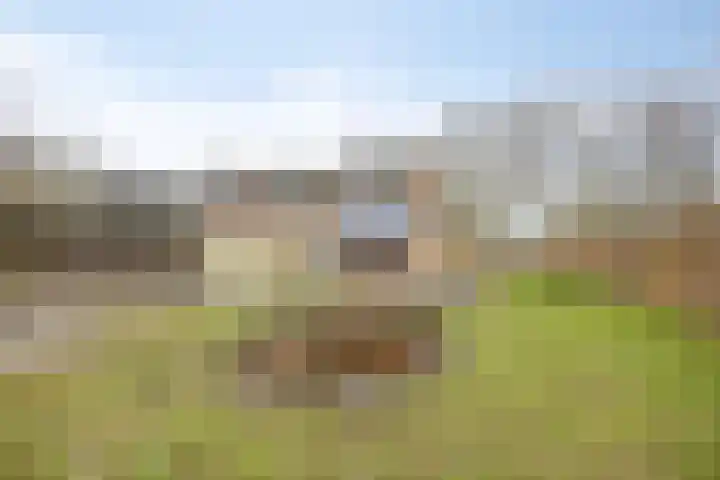 Ir. Mentropweg 27 Veenhuizen thumbnail 39