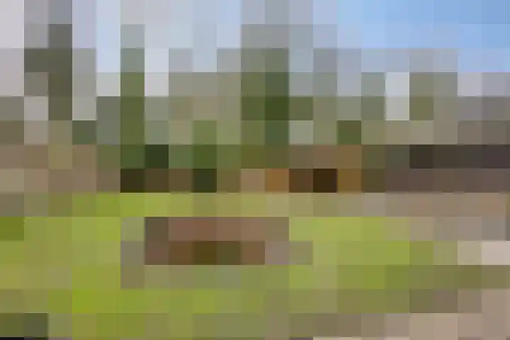 Ir. Mentropweg 27 Veenhuizen thumbnail 4