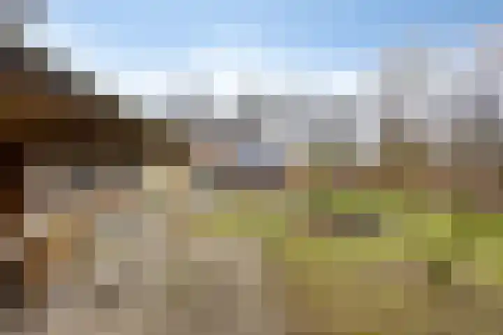 Ir. Mentropweg 27 Veenhuizen thumbnail 41