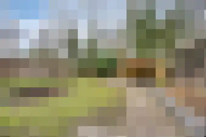 Ir. Mentropweg 27 Veenhuizen thumbnail 42