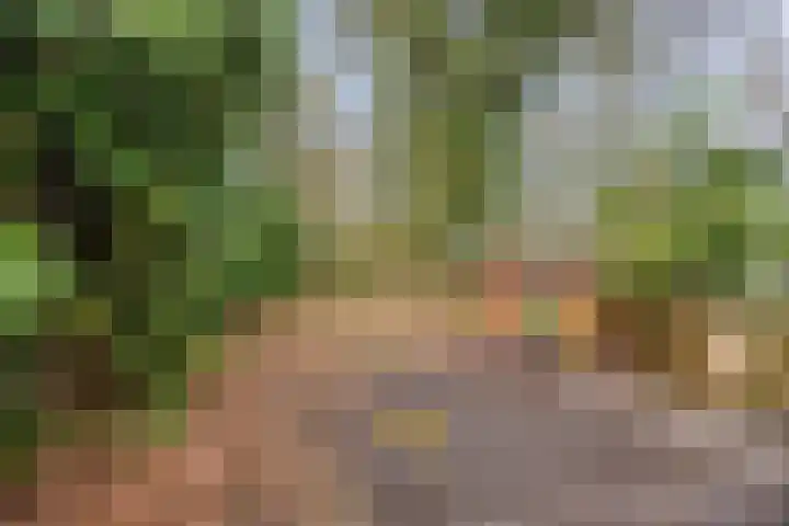 Ir. Mentropweg 27 Veenhuizen thumbnail 44