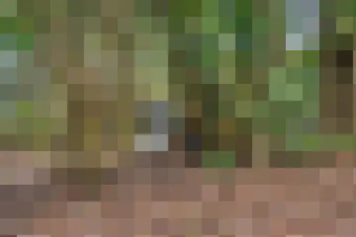 Ir. Mentropweg 27 Veenhuizen thumbnail 45
