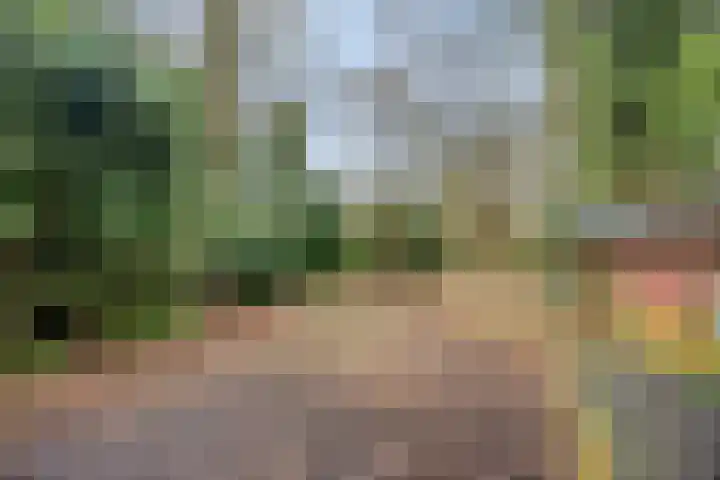 Ir. Mentropweg 27 Veenhuizen thumbnail 46