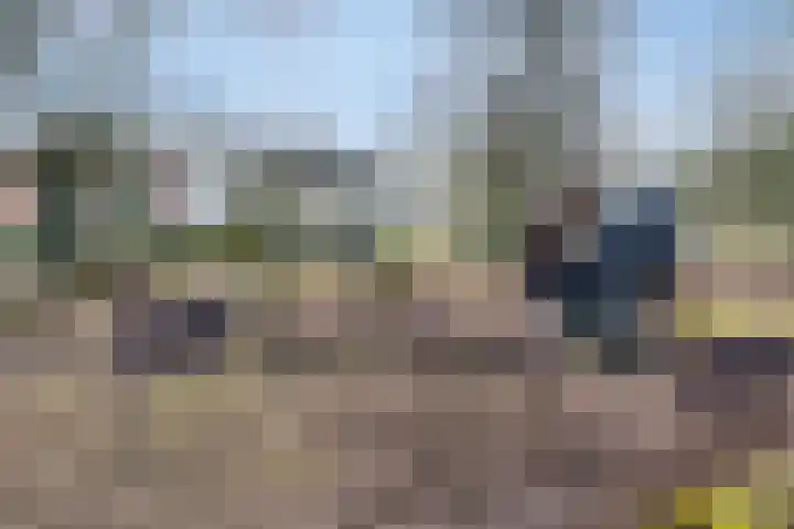 Ir. Mentropweg 27 Veenhuizen thumbnail 49