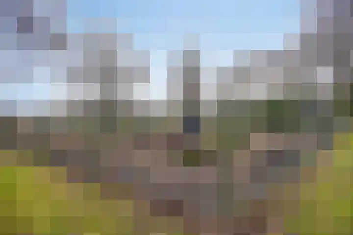Ir. Mentropweg 27 Veenhuizen thumbnail 51
