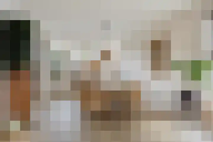 Ir. Mentropweg 27 Veenhuizen thumbnail 9