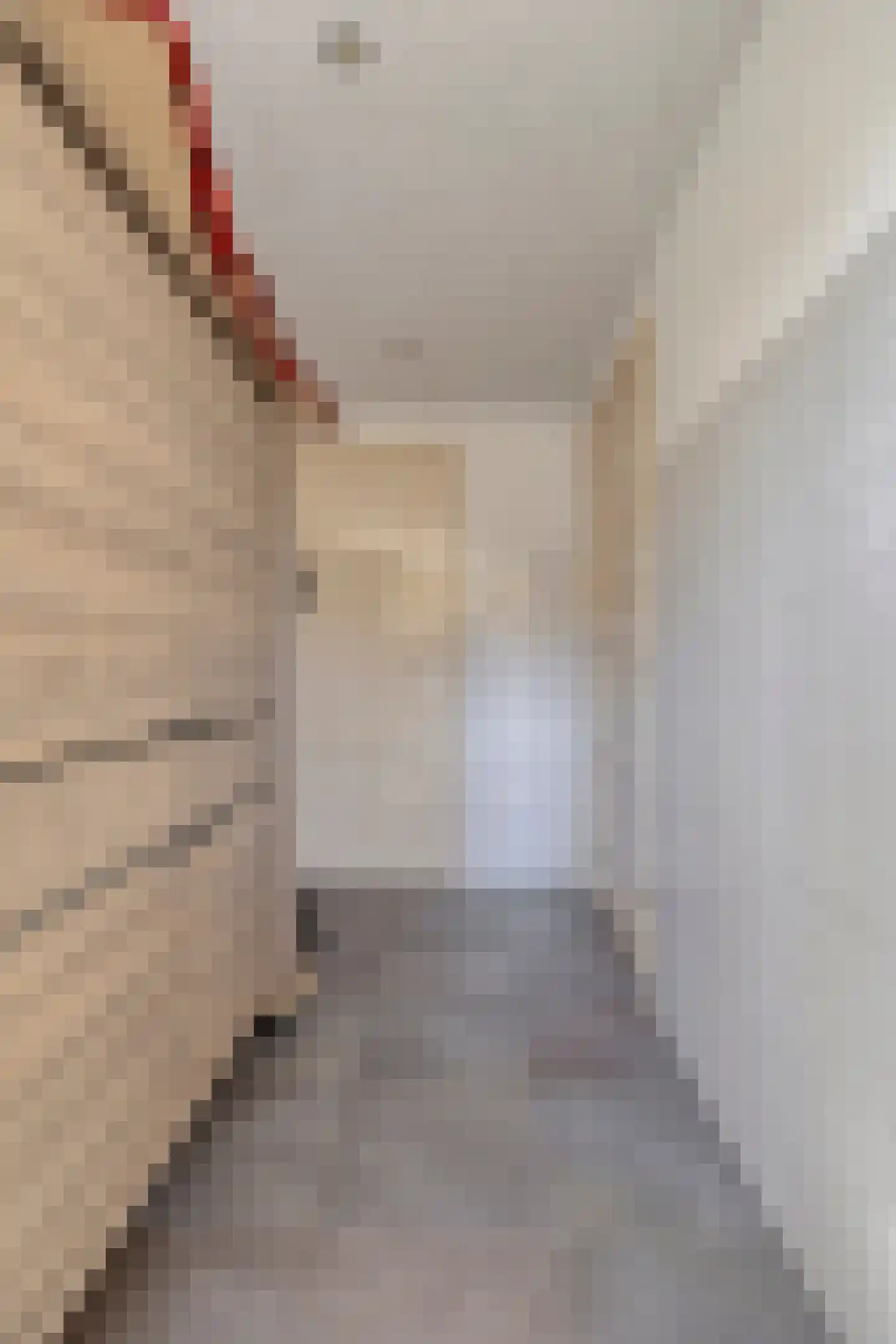Ir. Mettropweg 2 Hoogeloon thumbnail 14