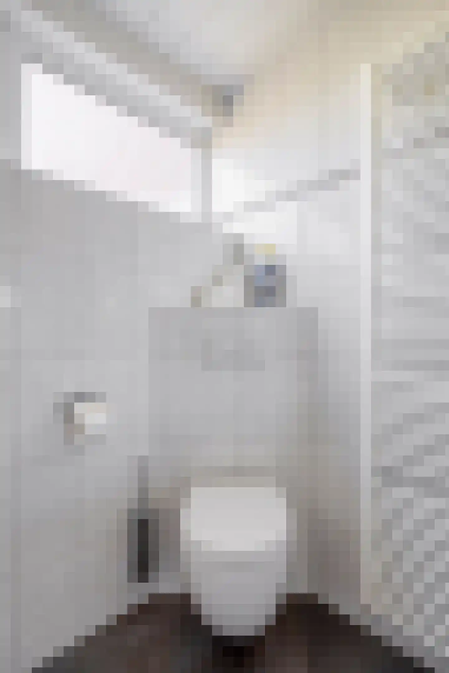 Ir. Mettropweg 2 Hoogeloon thumbnail 18