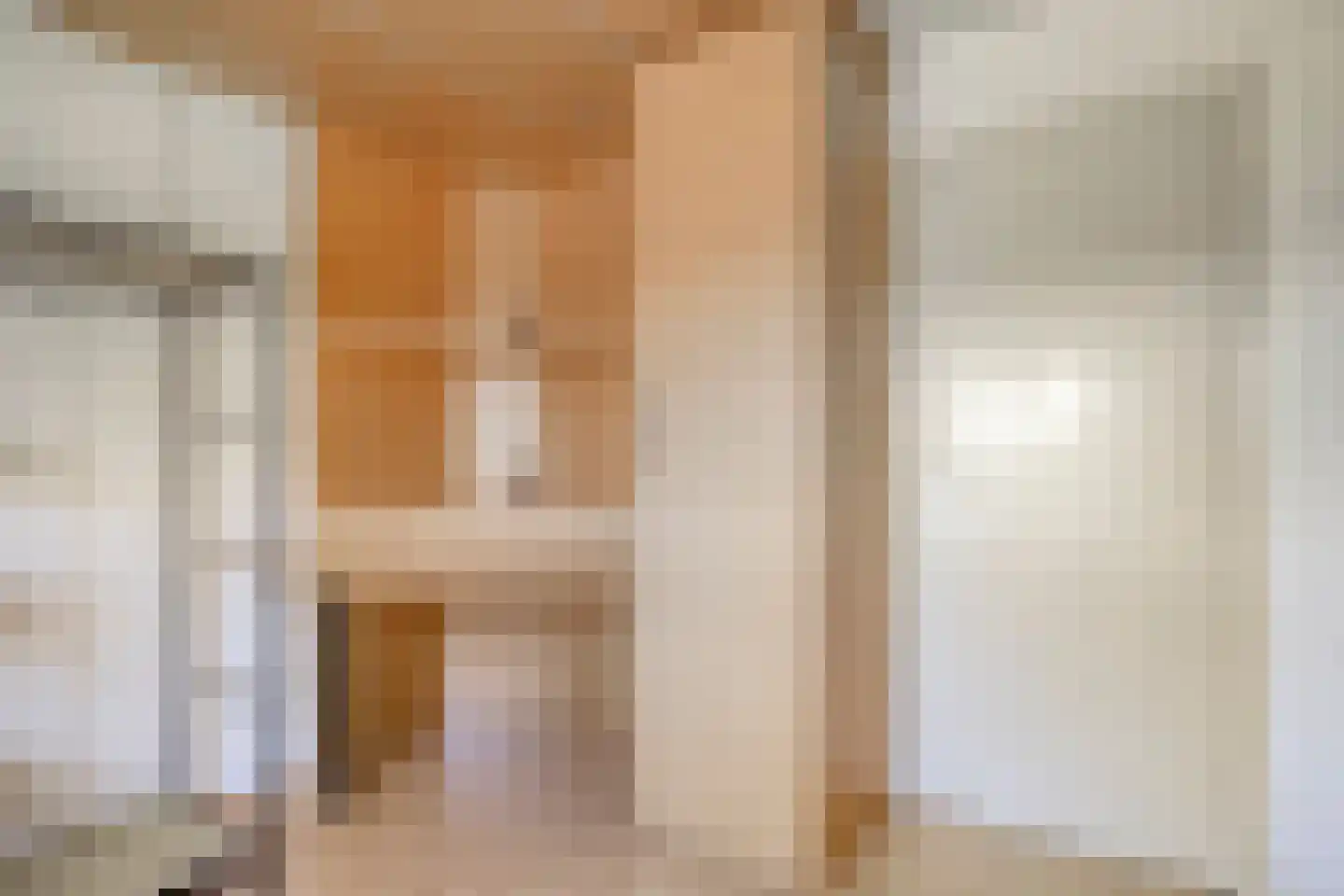 Ir. Mettropweg 2 Hoogeloon thumbnail 27