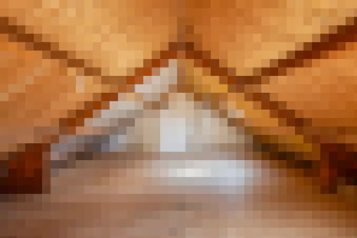 Ir. Mettropweg 2 Hoogeloon thumbnail 31