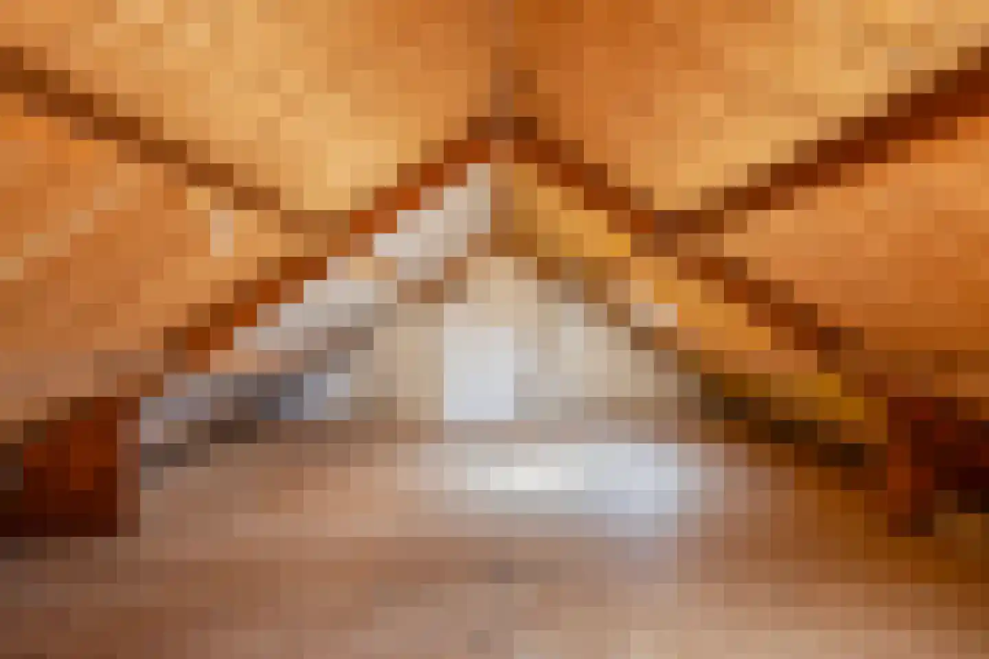 Ir. Mettropweg 2 Hoogeloon thumbnail 31