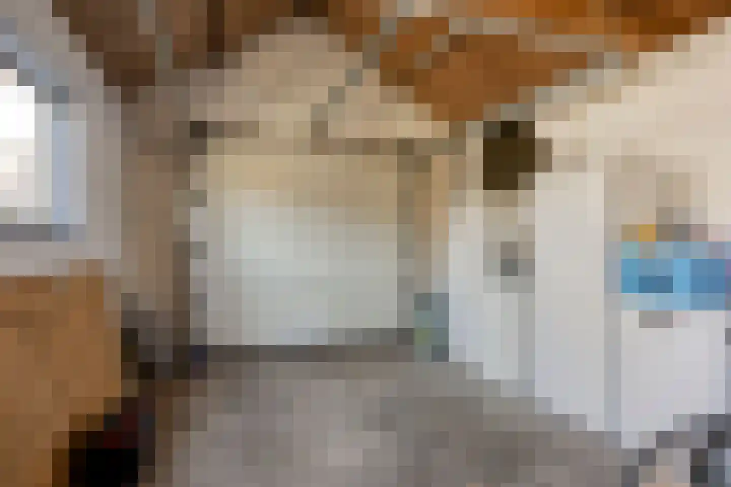 Ir. Mettropweg 2 Hoogeloon thumbnail 33