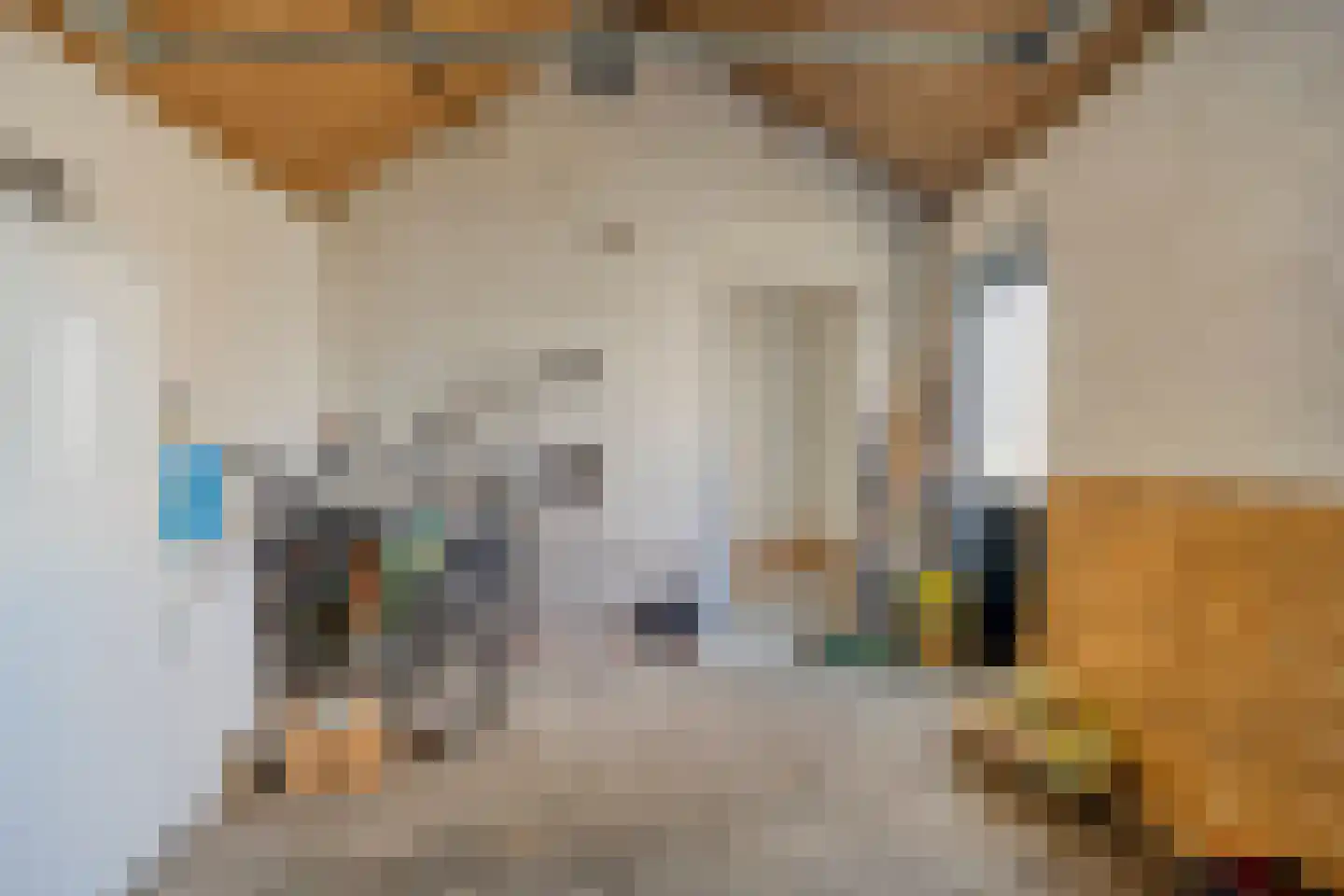 Ir. Mettropweg 2 Hoogeloon thumbnail 34