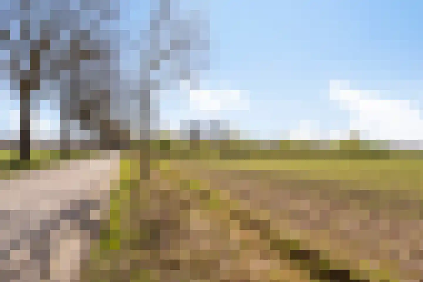Ir. Mettropweg 2 Hoogeloon thumbnail 49