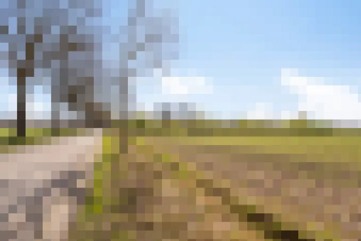 Ir. Mettropweg 2 Hoogeloon thumbnail 49