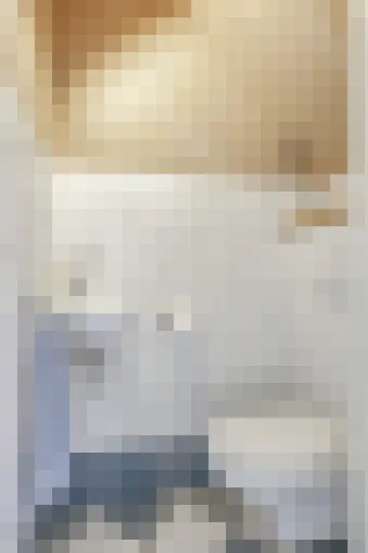 ir. Munterlaan 31 Heveadorp thumbnail 11