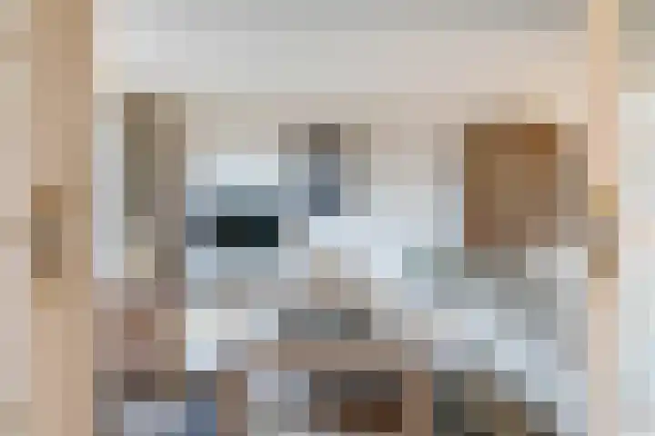ir. Munterlaan 31 Heveadorp thumbnail 19