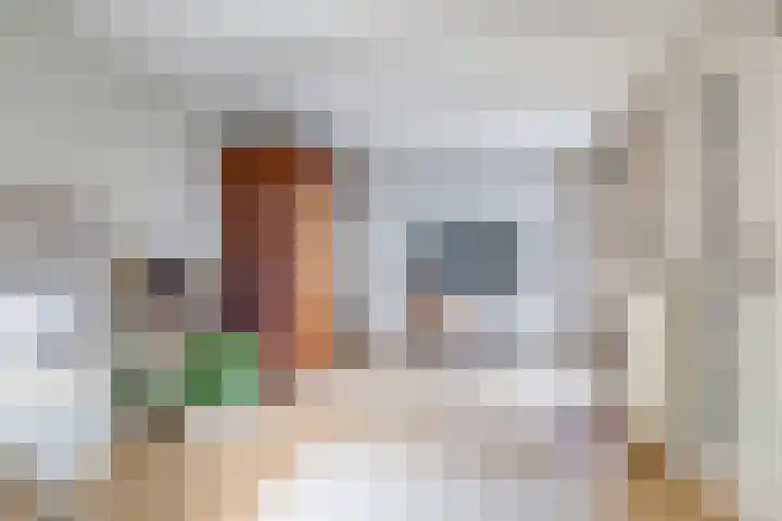 ir. Munterlaan 31 Heveadorp thumbnail 20