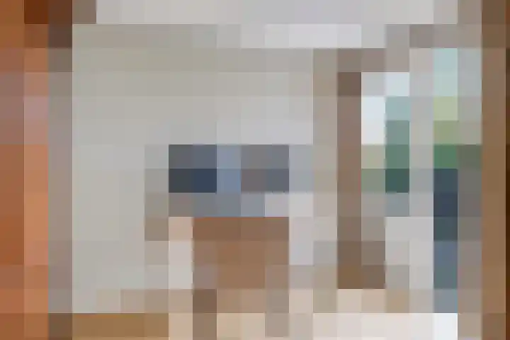 ir. Munterlaan 31 Heveadorp thumbnail 21