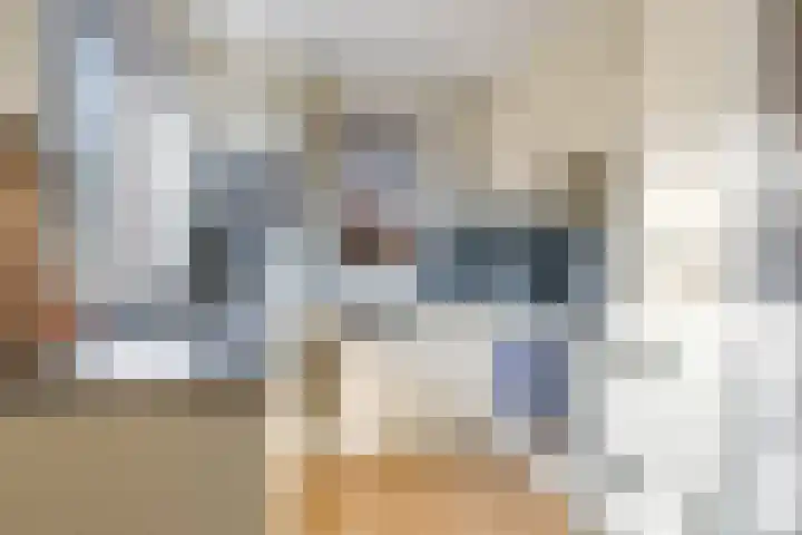 ir. Munterlaan 31 Heveadorp thumbnail 30