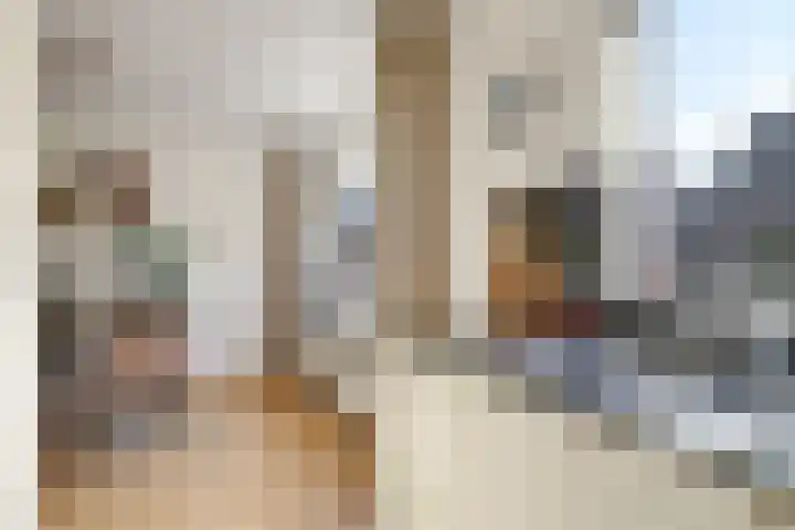 ir. Munterlaan 31 Heveadorp thumbnail 33