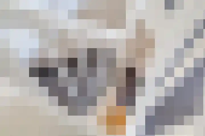 ir. Munterlaan 31 Heveadorp thumbnail 35