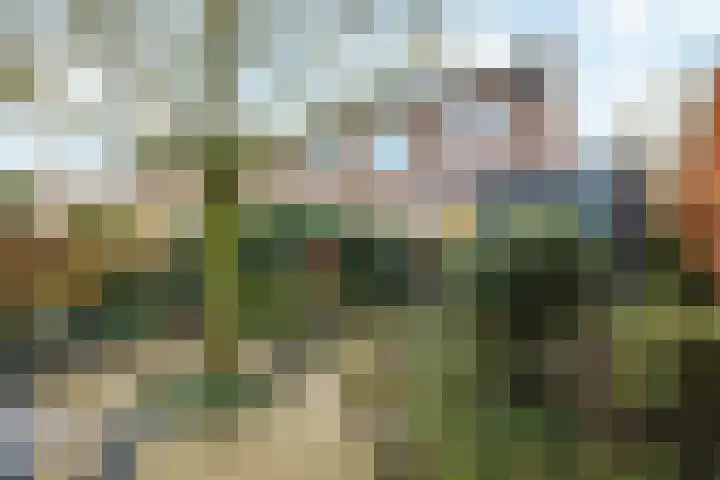 ir. Munterlaan 31 Heveadorp thumbnail 50