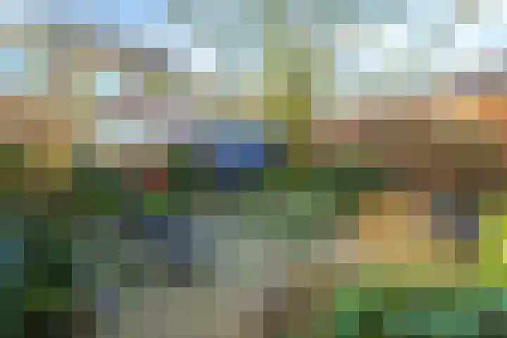 ir. Munterlaan 31 Heveadorp thumbnail 51